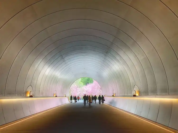 Hotel dekat Miho Museum