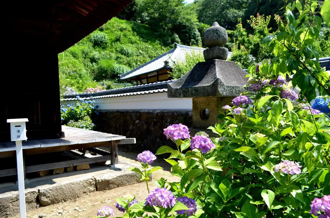 Hotels near Honkou Ji