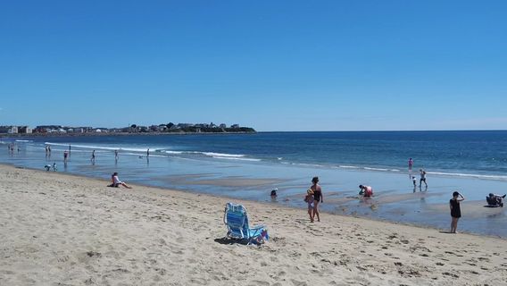 Hampton Beach State Park