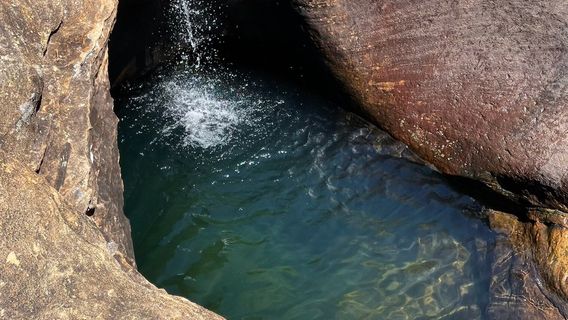 Blackdown Tableland National Park