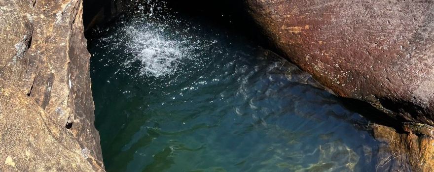 Blackdown Tableland National Park