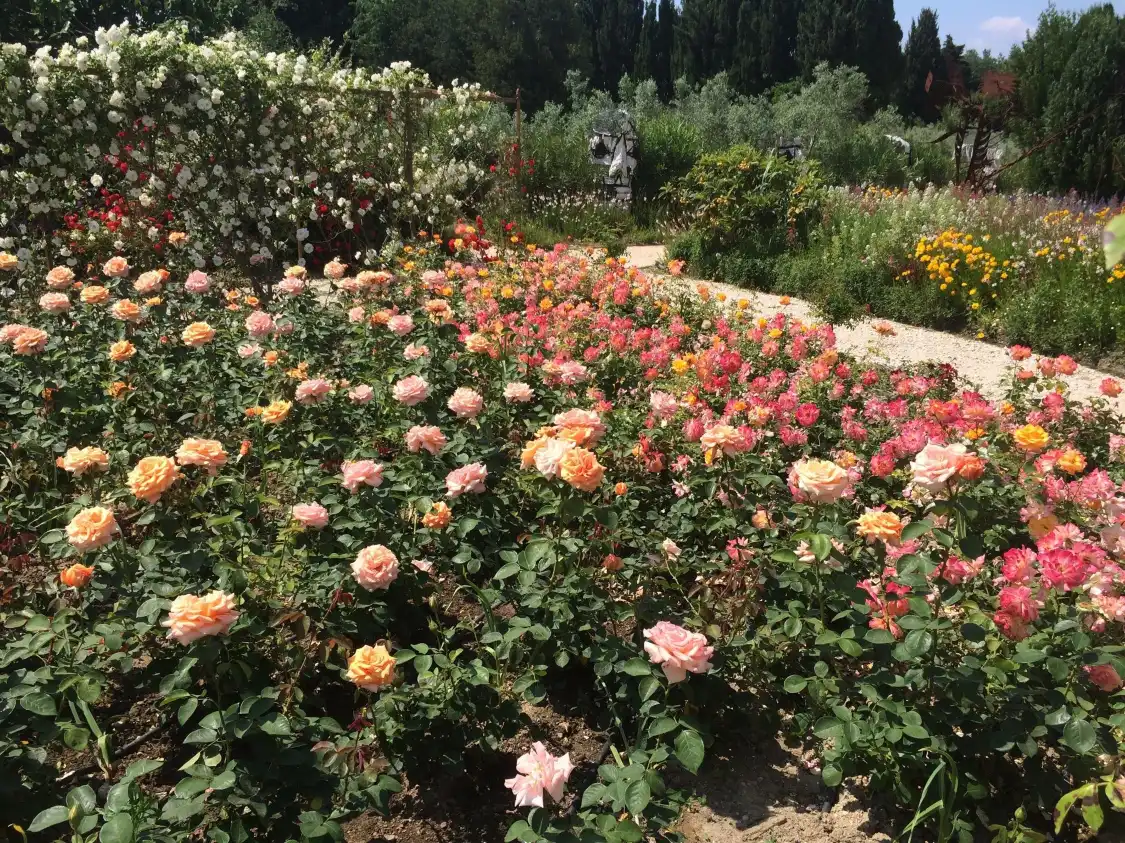 Отели рядом с достопримечательностью «Jardin d'Alcinoos»