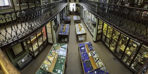 Wisbech & Fenland Museum