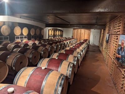 Becker Vineyards
