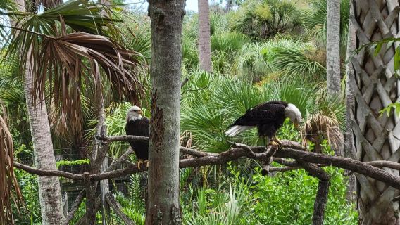 Brevard Zoo