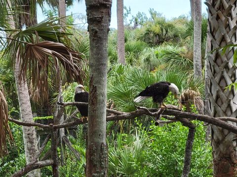 Brevard Zoo