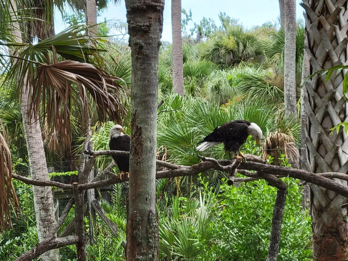 Brevard Zoo