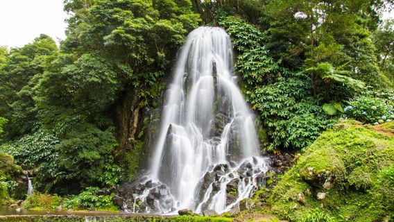 Azores Epic Adventures - CANYONING IN AZORES, SÃO MIGUEL - SMALL GROUPS ONLY