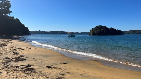 Stewart Island
