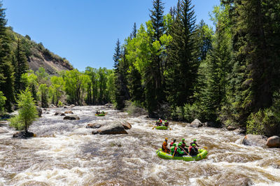 Elk Mountain Expeditions