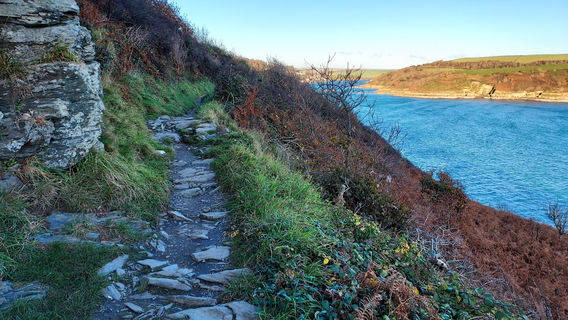 Salcombe to Bolt Head Walk