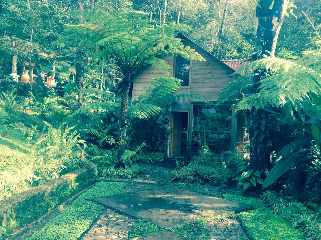 Hotels near Orquigonia