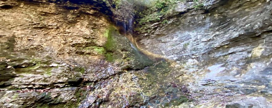 Ponca Township