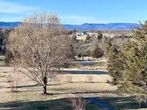 Wolf Gap Vineyard and Winery
