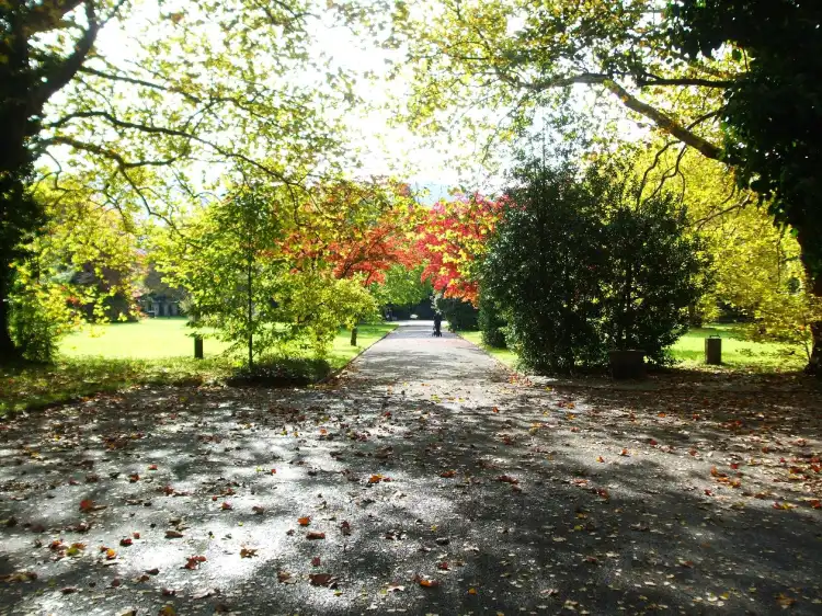 Các khách sạn gần Friedhof Sihlfeld