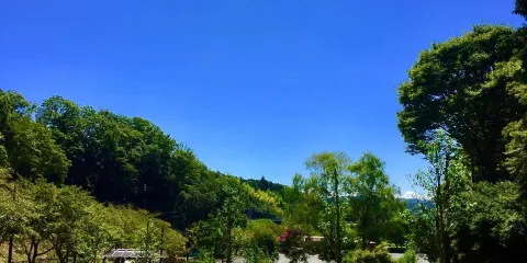 瑞浪市化石博物館