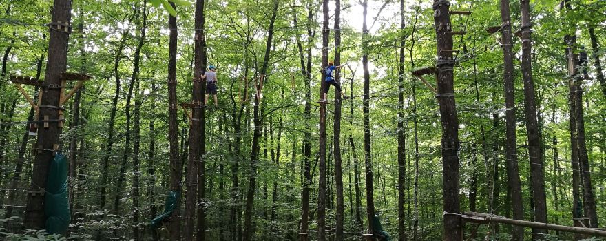 FUN FOREST