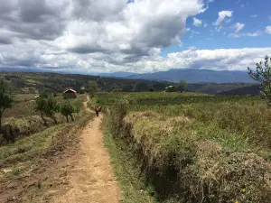Sarcofagos de Karajia