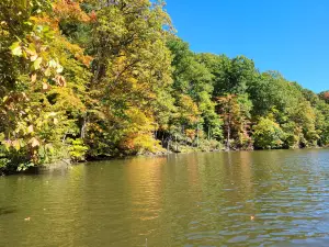 Mt. Gilead State Park