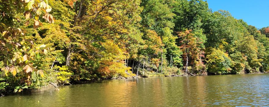 Mt. Gilead State Park