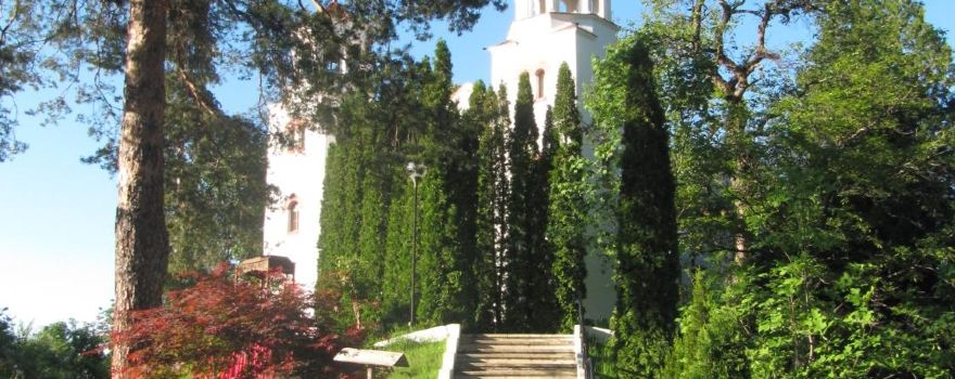 Berkovitsa
