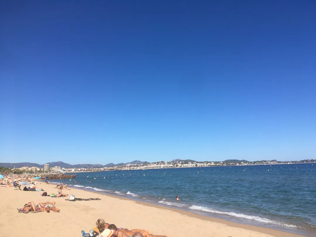 4_Base Nature Francois Leotard