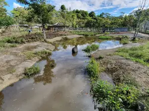 Zoorefugio Tarqui