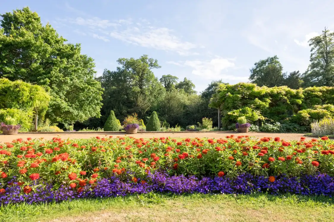 Hotels near Hylands Park