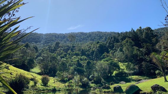 Cervejaria Wolkenburg
