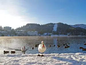 Straža Bled