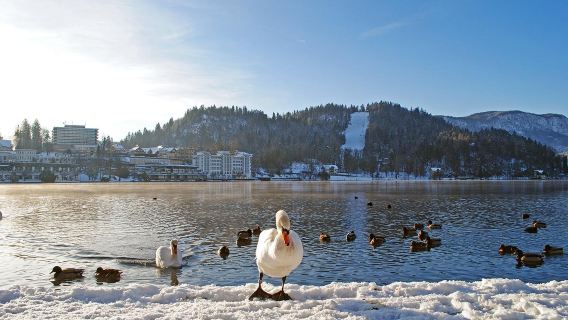 Straža Bled