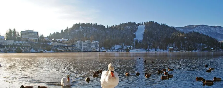 Straža Bled