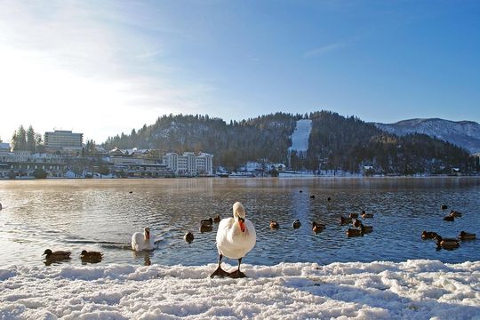 Straža Bled