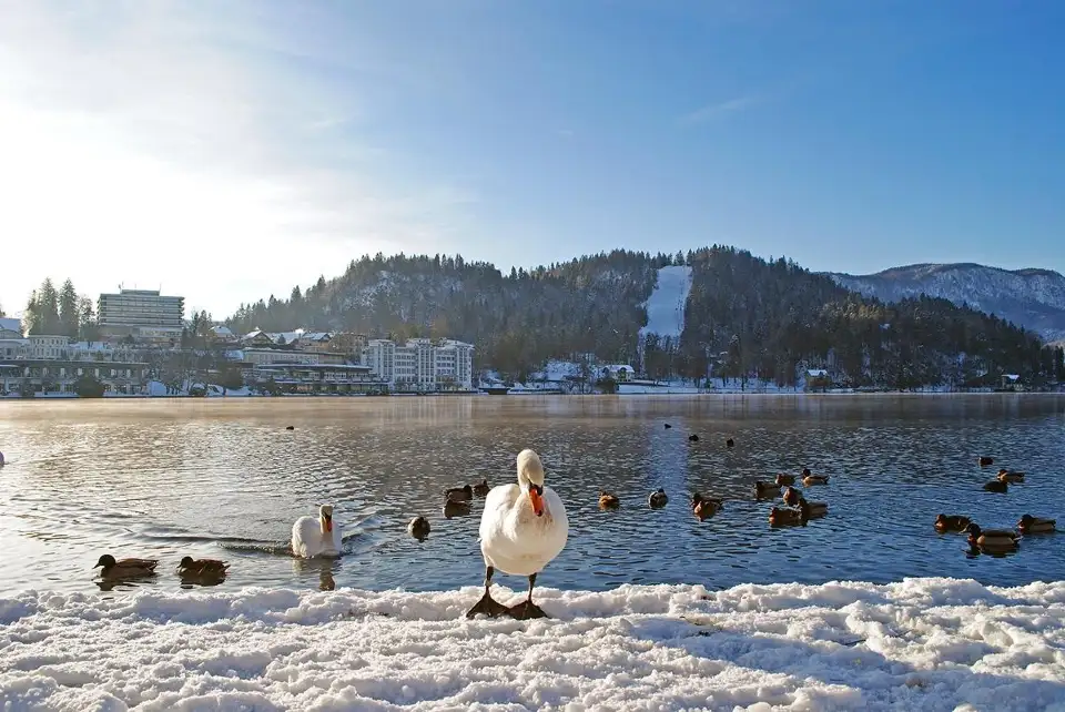 1_Straza Bled
