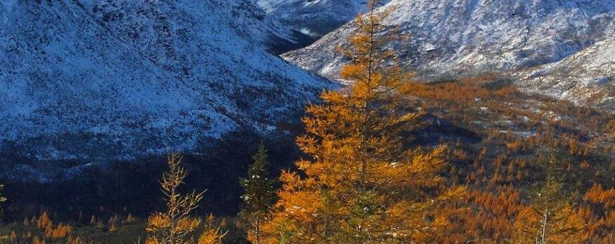 Parc national de la Gaspésie