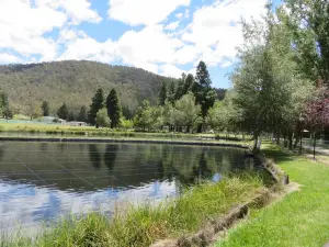 Gaden Trout Hatchery