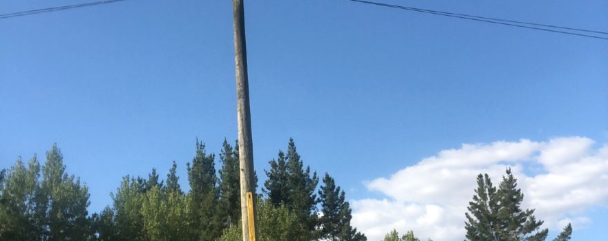 Toothbrush Fence