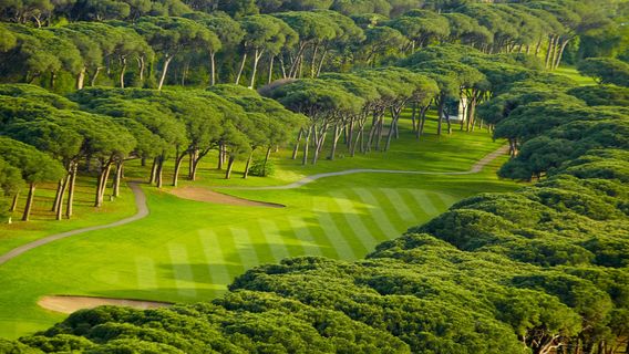 Golf Old Course Cannes Mandelieu