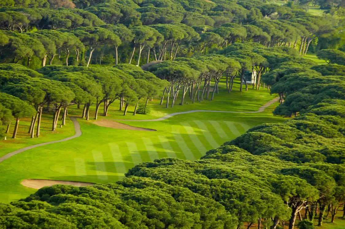 Hotels near Golf Old Course Cannes Mandelieu