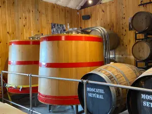 Fiddlehead Brewing Company