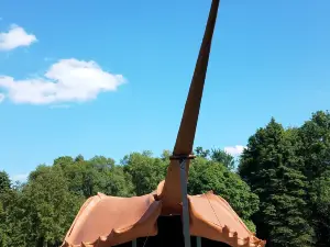 World's Largest Horseshoe Crab