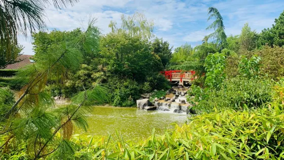 Parc du Suzon - Jardin Japonais