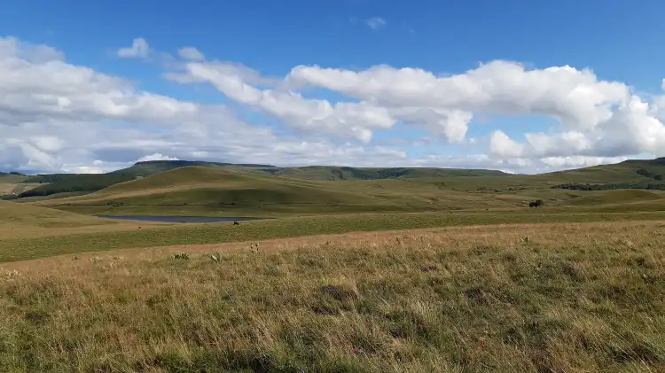 Отели в г. Ла Годивель