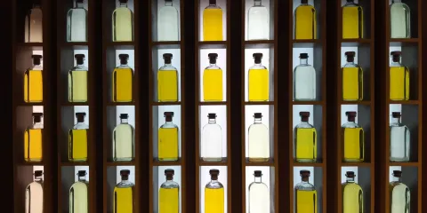 Baena Museo Del Aceite & El Olivar