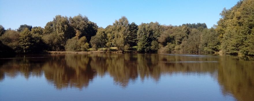Compton's Lakes