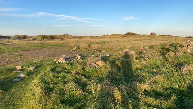 Baltray Fairy Mounds