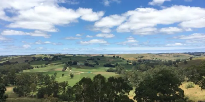 Henry Littledyke Reserve