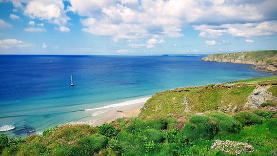 Nichols Cove