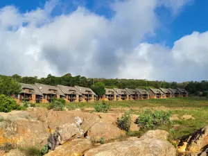 Crystal Springs Nature Reserve