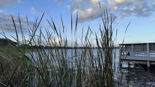 Lake Shipp Park